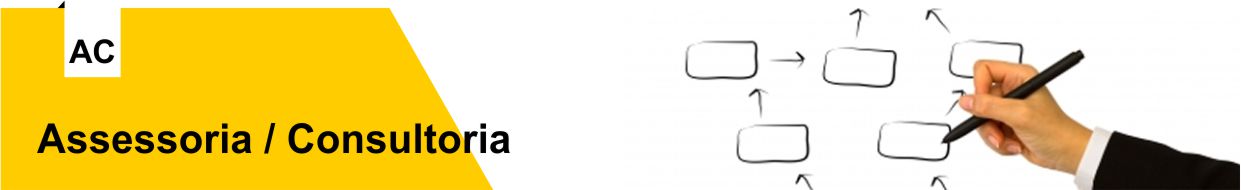 Assessoria e Consultoria